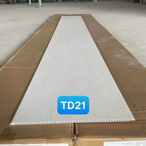 Tấm ốp nano TD22